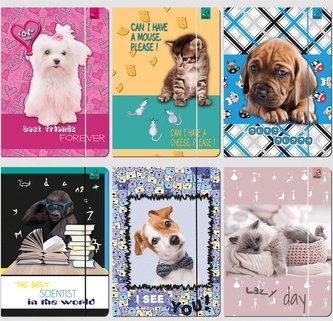 Teczka A4 z gumką Best Friend