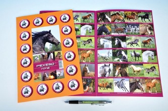 Pexeso Koně společenská hra