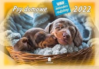 Kalendarz 2022 Rodzinny Psy domowe WL8