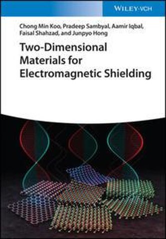 Two-Dimensional Materials for Electromagnetic Shielding