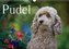 Pudel (Wandkalender 2022 DIN A3 quer)