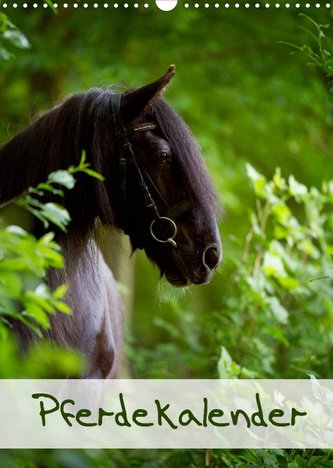 Pferdekalender (Wandkalender 2022 DIN A3 hoch)