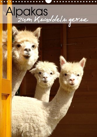 Alpakas zum Knuddeln gerne (Wandkalender 2022 DIN A3 hoch)