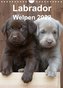 Labrador Welpen (Wandkalender 2022 DIN A4 hoch)
