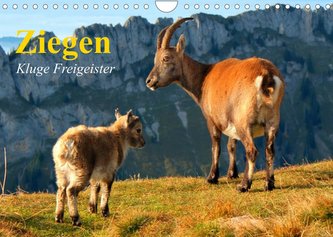 Ziegen. Kluge Freigeister (Wandkalender 2022 DIN A4 quer)