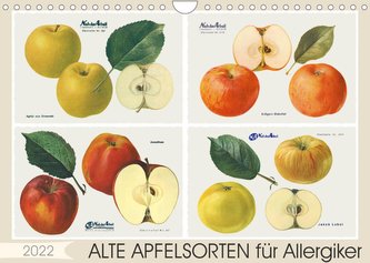 Alte Apfelsorten für Allergiker (Wandkalender 2022 DIN A4 quer)