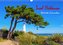Insel Hiddensee - Dat söte Länneken (Wandkalender 2022 DIN A3 quer)