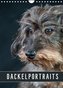 Dackelportraits (Wandkalender 2022 DIN A4 hoch)