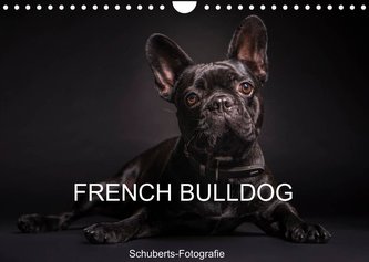 French Bulldog (Wandkalender 2022 DIN A4 quer)