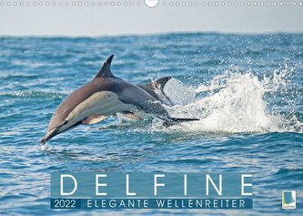 Delfine: Elegante Wellenreiter (Wandkalender 2022 DIN A3 quer)