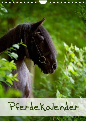 Pferdekalender (Wandkalender 2022 DIN A4 hoch)