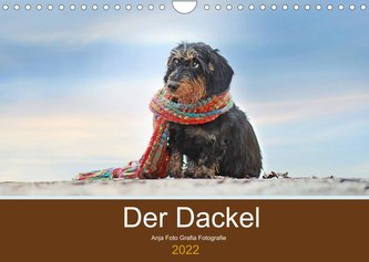 Der Dackel (Wandkalender 2022 DIN A4 quer)