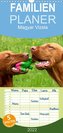 Magyar Vizsla - Familienplaner hoch (Wandkalender 2022 , 21 cm x 45 cm, hoch)