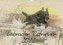 Labrador Retriever 2022 (Wandkalender 2022 DIN A3 quer)