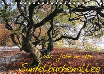 Das Jahr in der Süntelbuchenallee (Tischkalender 2022 DIN A5 quer)