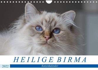 Heilige Birma Katzenkalender (Wandkalender 2022 DIN A4 quer)