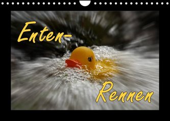 Enten-Rennen (Wandkalender 2022 DIN A4 quer)