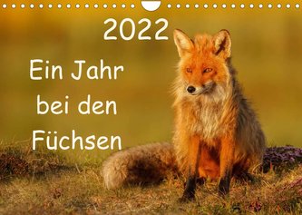Ein Jahr bei den Füchsen (Wandkalender 2022 DIN A4 quer)