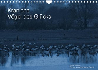Kraniche (Wandkalender 2022 DIN A4 quer)