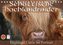 Schottische Hochlandrinder - Highland Cattle im Portrait (Tischkalender 2022 DIN A5 quer)