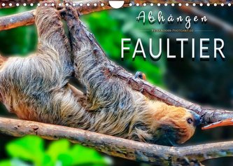 Abhängen - Faultier (Wandkalender 2022 DIN A4 quer)