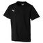 Puma Liga Casuals Tee Jr - 164 655634-003|164