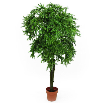 Jedle Europalms Jedle Toscana, 170 cm