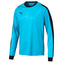 Dres s dlouhým rukávem Puma liga gk kids 703443-008|152