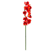 Větvička orchideje Europalms Orchidej větvička, červená, 90cm