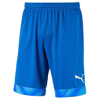 Puma CUP Shorts - XXL