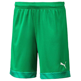 Dětské šortky Puma cup short kids, 704035-043|140