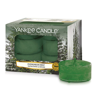 Sviečky čajové Yankee Candle Lesná hmla, 12 ks