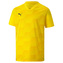 Dětský dres Puma teamFINAL 21 Graphic Jersey Jr, 70436907|152