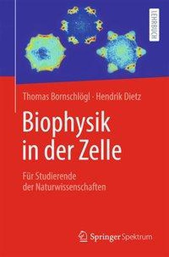Biophysik in der Zelle