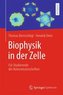 Biophysik in der Zelle