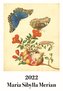 Maria Sibylla Merian Kalender 2022
