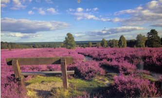 Kalendarz 2022 Trójdzielny Wrzos ANIEW