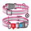 Obojek nylonový Waudog Glow růžový QR (23-35cm/1,5cm)