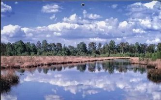 Kalendarz 2022 Trójdzielny Jezioro ANIEW