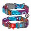 Obojok nylonový Waudog Summer QR (24-40cm/2cm)