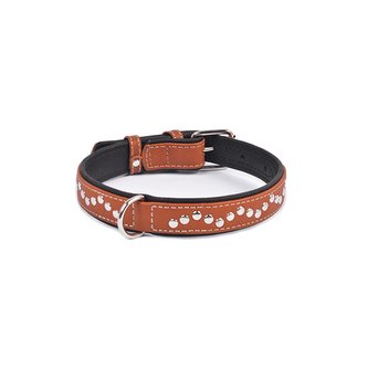 Obojok kožený Waudog Soft s cvočkami - hnedý (38-49cm/2cm)