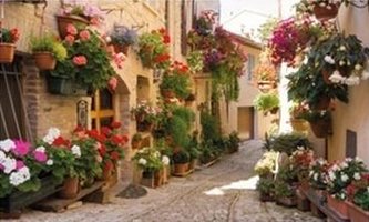 Kalendarz 2022 Trójdzielny Włoska uliczka ANIEW