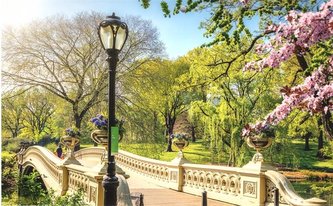 Kalendarz 2022 Trójdzielny Łazienki królewskie