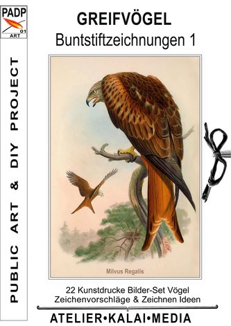 Greifvögel : Buntstiftzeichnungen 1