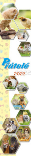 Kalendář 2022 - Přátelé, nástěnný