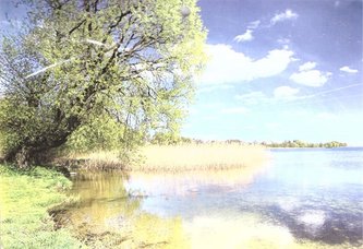 Kelendarz 2022 Ścienny Trójdzielny MIX