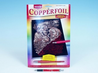 Škrábací obrázek zlatý Reeves 20x25cm asst 12 druhů na kartě