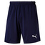 Puma liga training - S