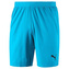 FINAL evoKNIT GK Shorts AQUARIUS-Puma Bl - S