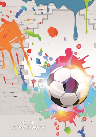 Záznamná kniha CONCORDE A4 linka 8mm, 200 listov - mix farieb